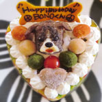 愛犬の顔がケーキに！