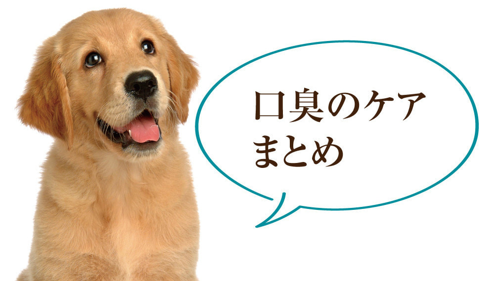 犬の口臭について