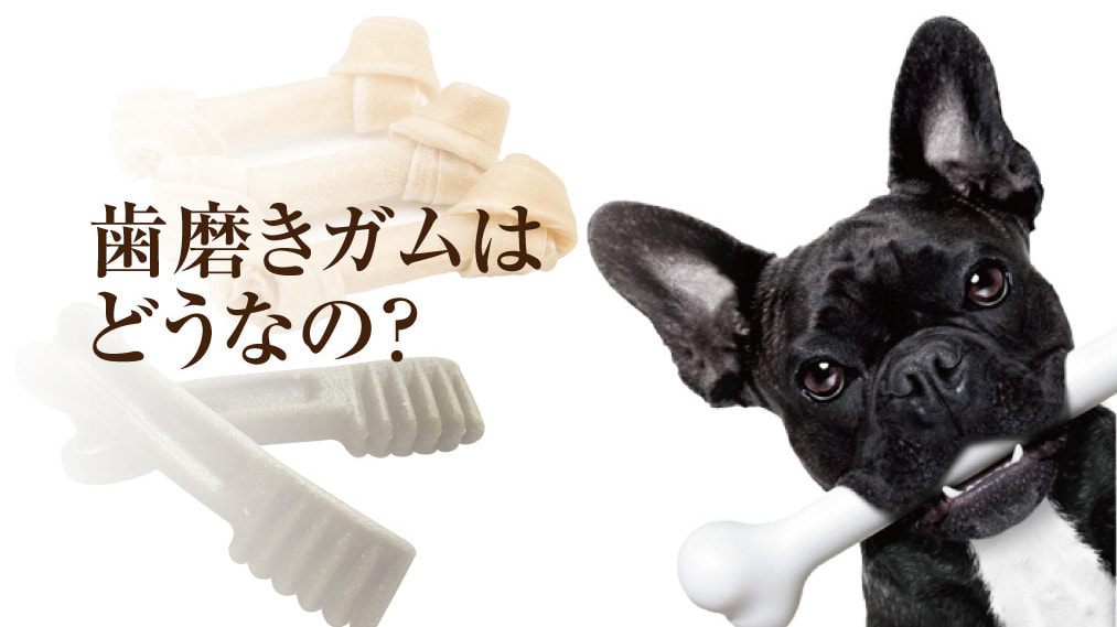 犬の歯磨きガムのデメリット