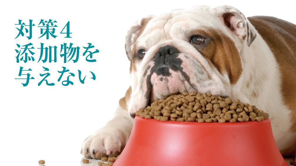 犬の口臭と添加物