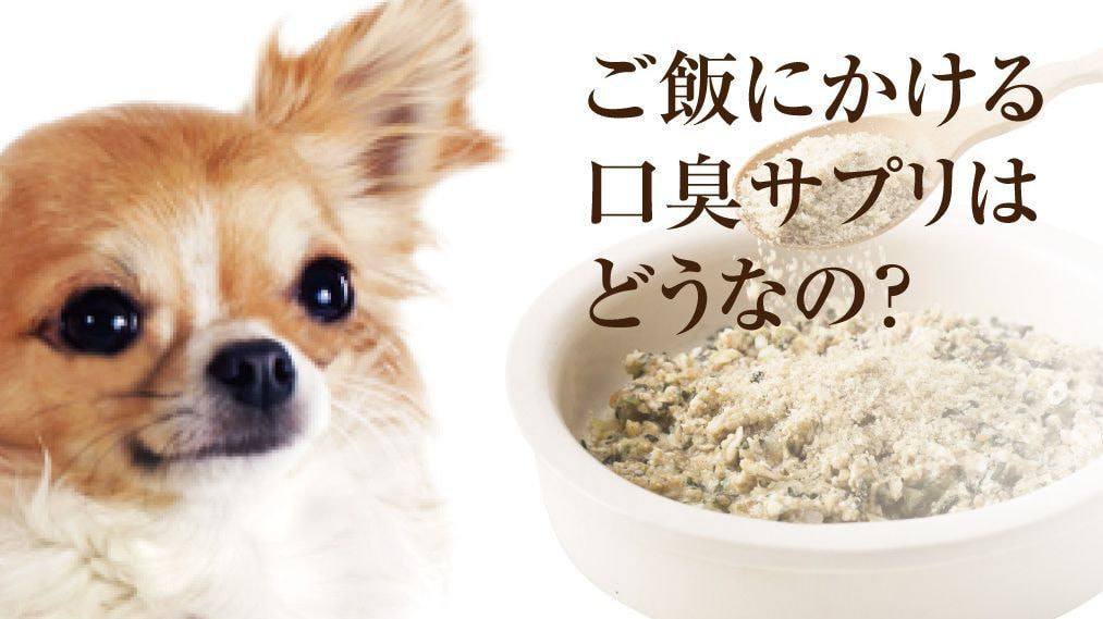 犬の口臭サプリについて