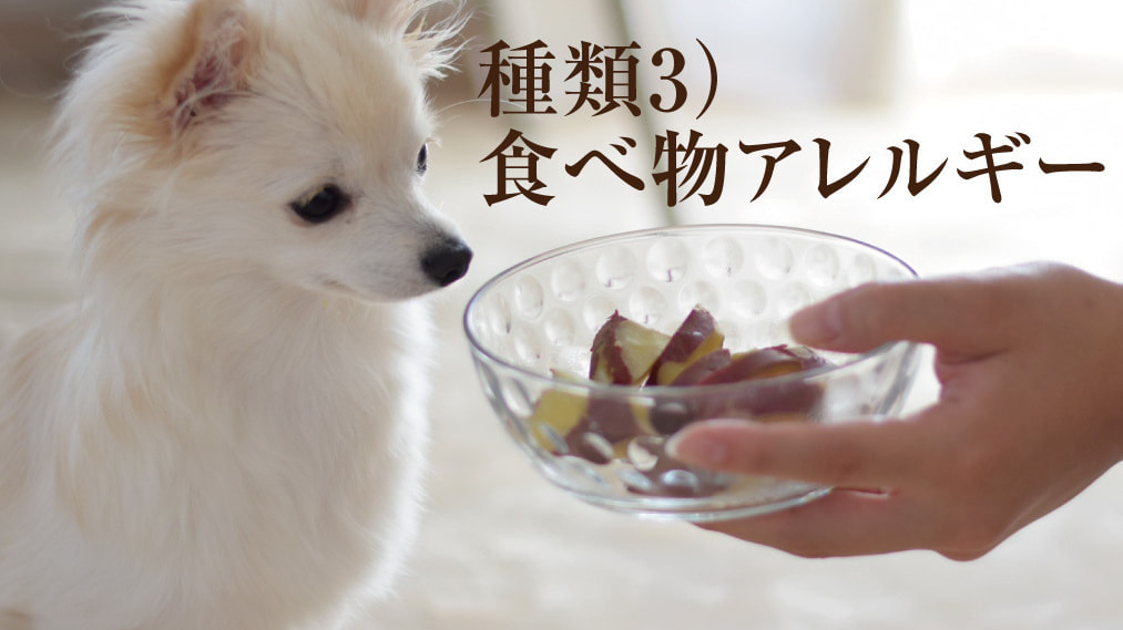 食べ物アレルギー