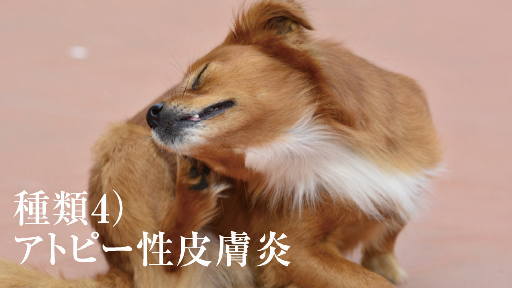 アトピー性皮膚炎