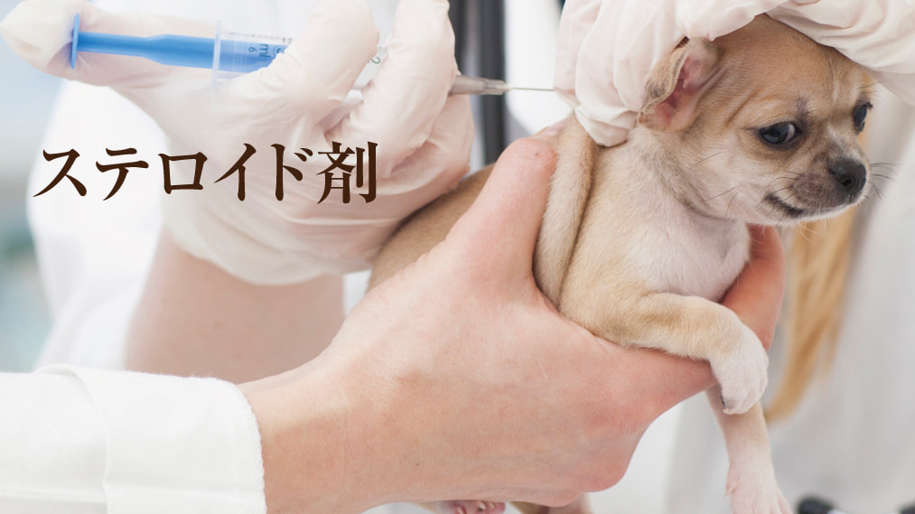 アレルギーによる犬の痒みに効果的なお薬