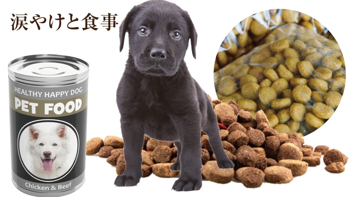 犬の涙やけと食事