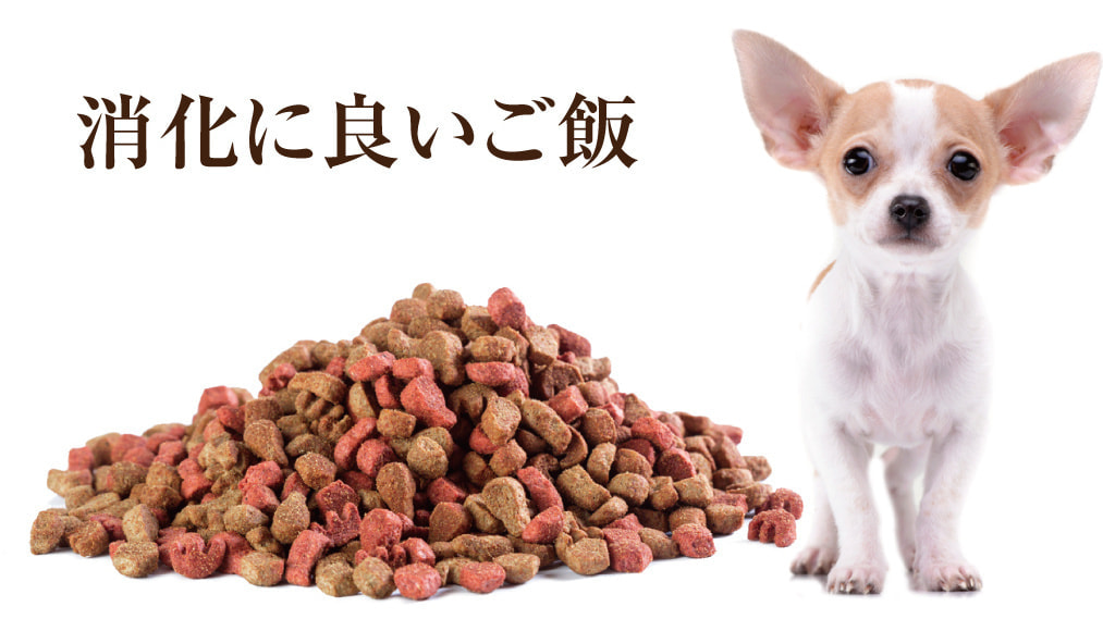 涙やけに良いご飯選び