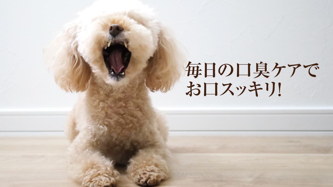 犬の口臭対策