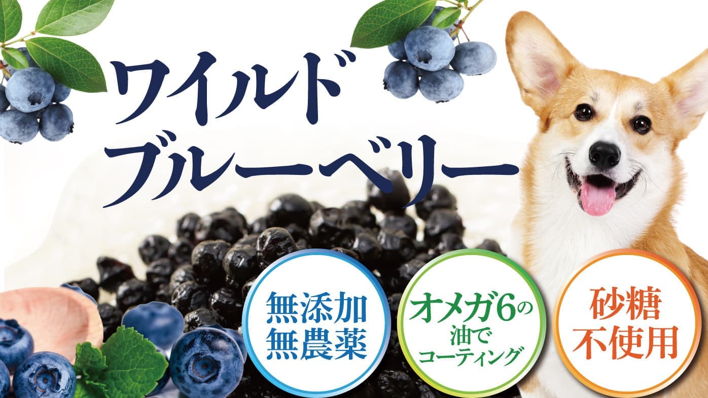 ワイルドブルーベリー