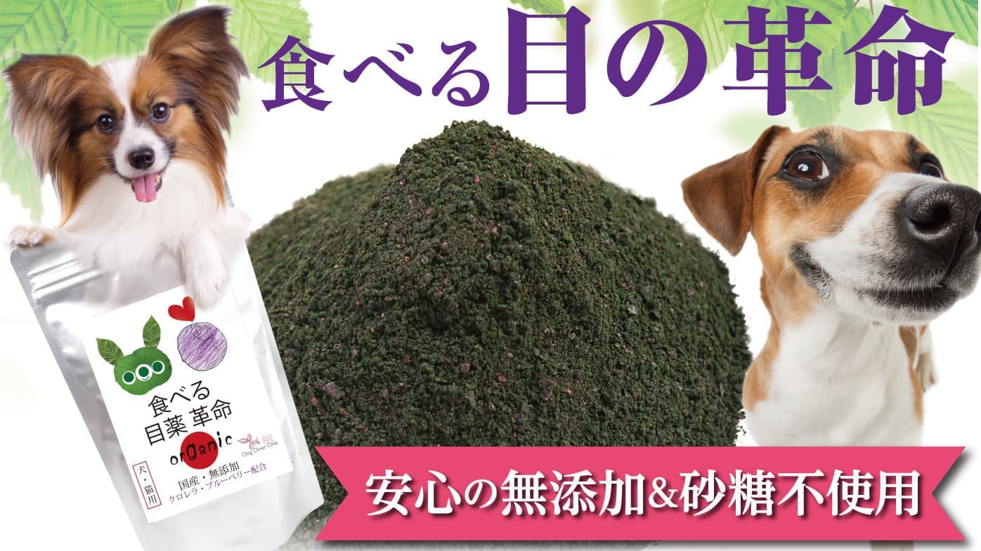 食べる目の革命
