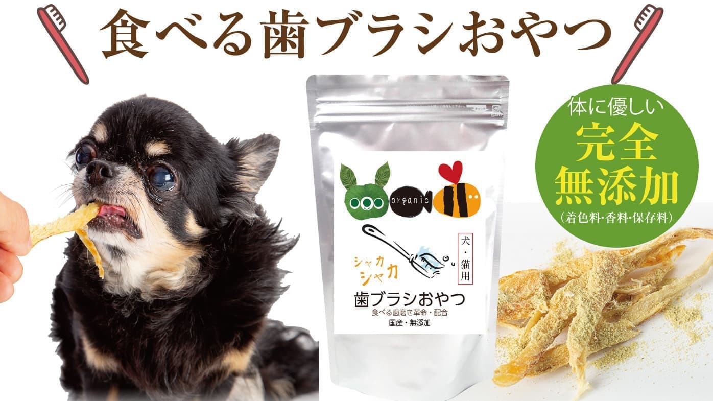 食べる歯ブラシ革命