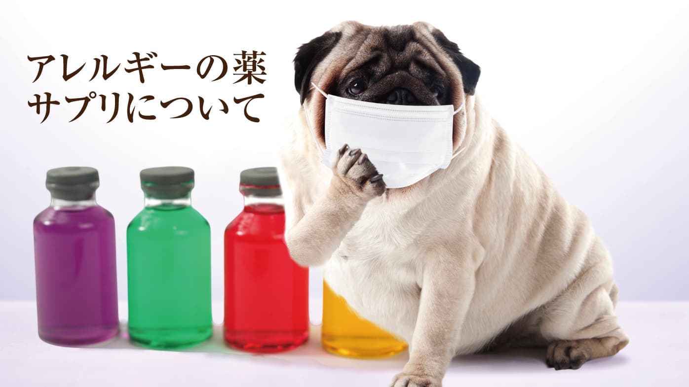 アレルギーの薬とサプリに関して