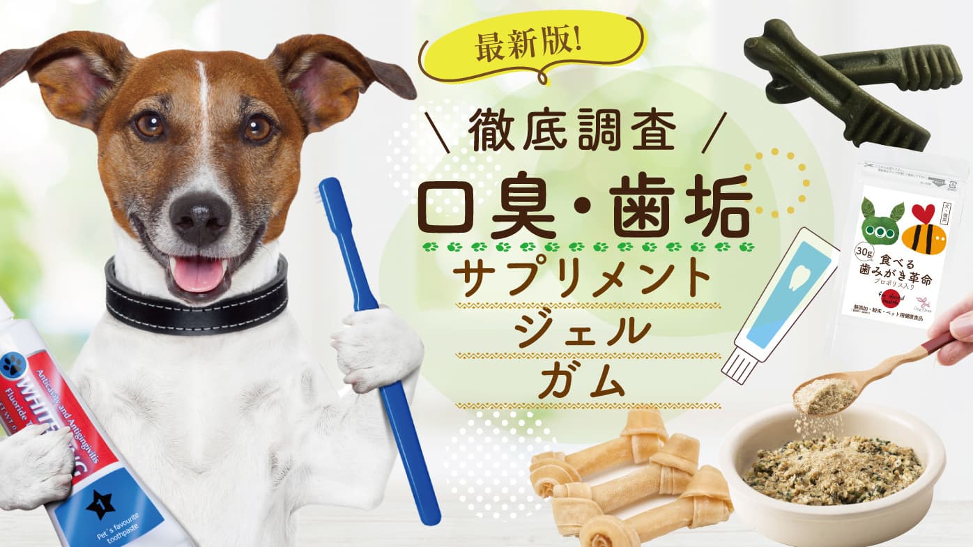 犬の口臭対策